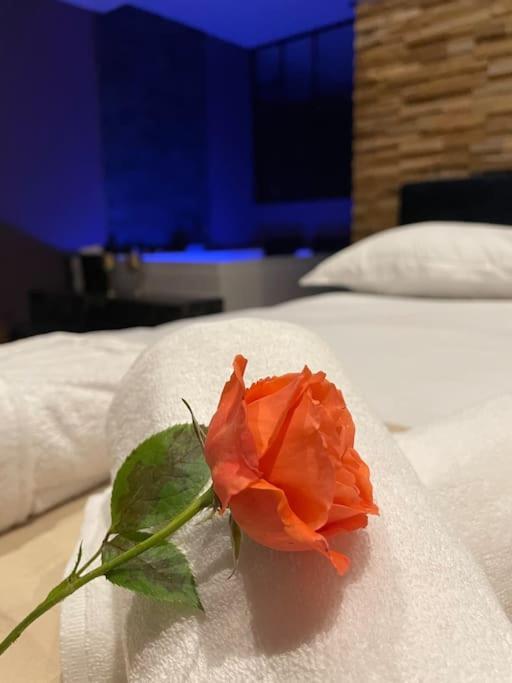 Le Cocon Des Granges - Suite Sauna Jaccuzi Spa Bonnieres-sur-Seine Экстерьер фото